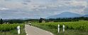 J3-051-En_vue_du_Ventoux