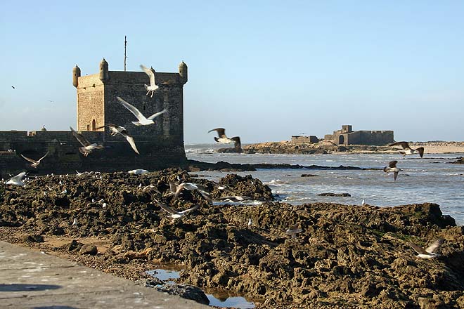 Maroc, Essaouira