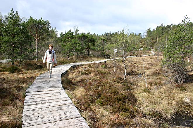 Norvege, Preikestolen