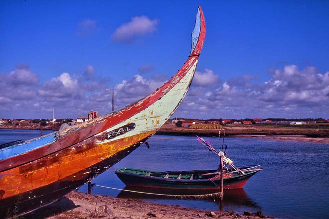 Lagune d'Aveiro, moliceiro