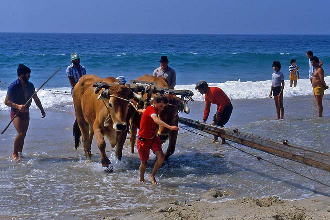 Aveiro-Plage de Vagueira