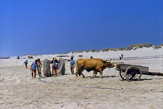 Aveiro-Plage de Vagueira