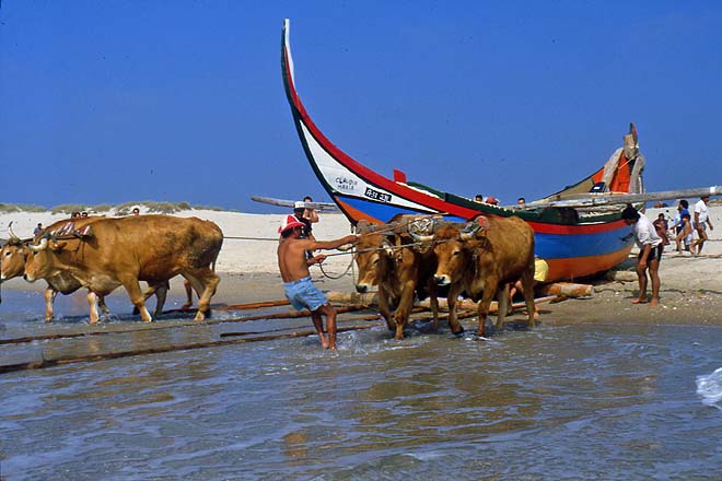 Aveiro-Plage de Vagueira