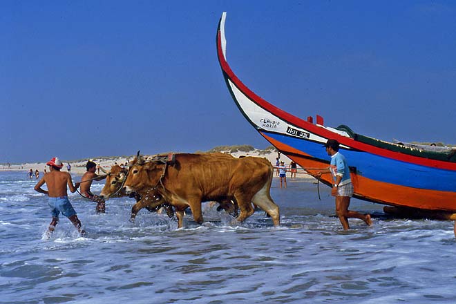 Aveiro-Plage de Vagueira