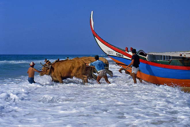 Aveiro-Plage de Vagueira