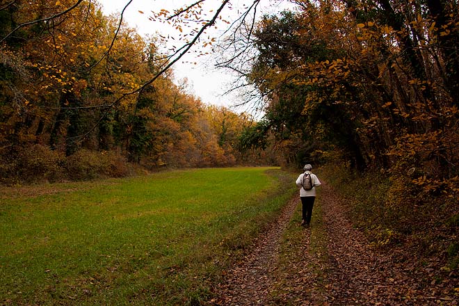 Le Montat, chemin près de Quercy