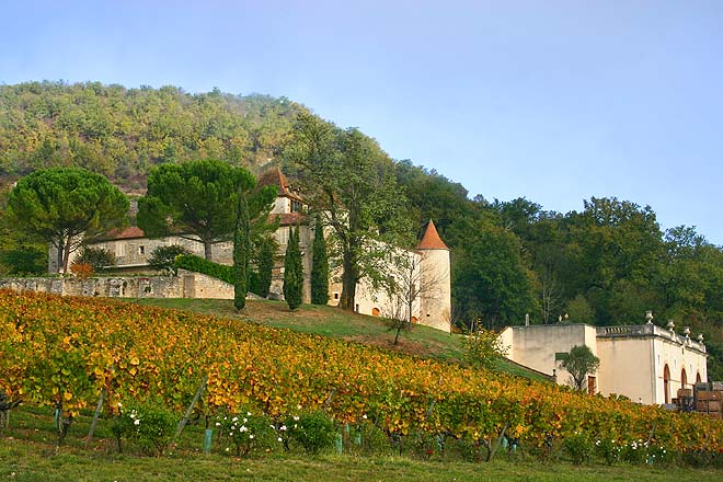 Luzech, Château de Cayx