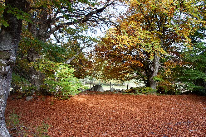 plateau des Auges