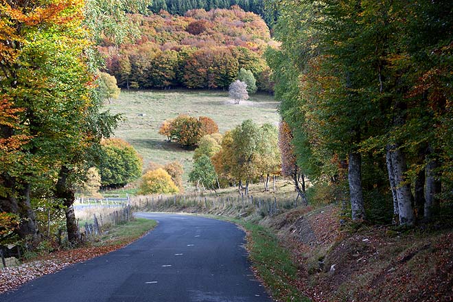 plateau des Auges