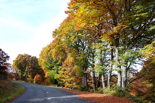 plateau des Auges