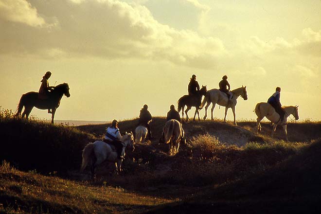 29 Plomeur, chevaux des dunes