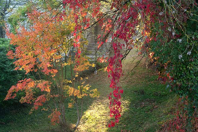 Couleurs d'automne