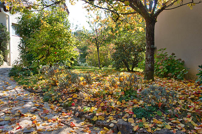 Jardin, Automne