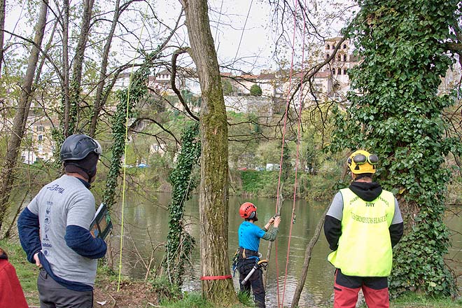 Cahors, concours des élagueurs