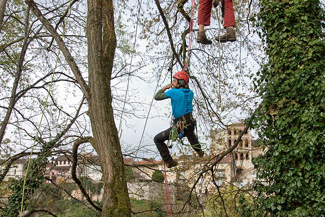 Cahors, concours des élagueurs