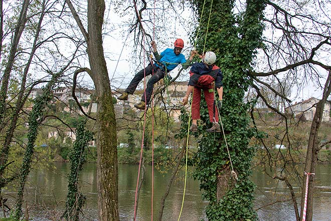 Cahors, concours des élagueurs