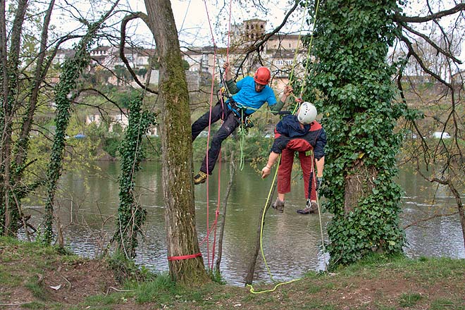 Cahors, concours des élagueurs